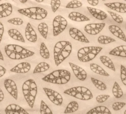 Robens Wolf Moon 5XP Tent Package -Vago Camping Shop robens carpet 1